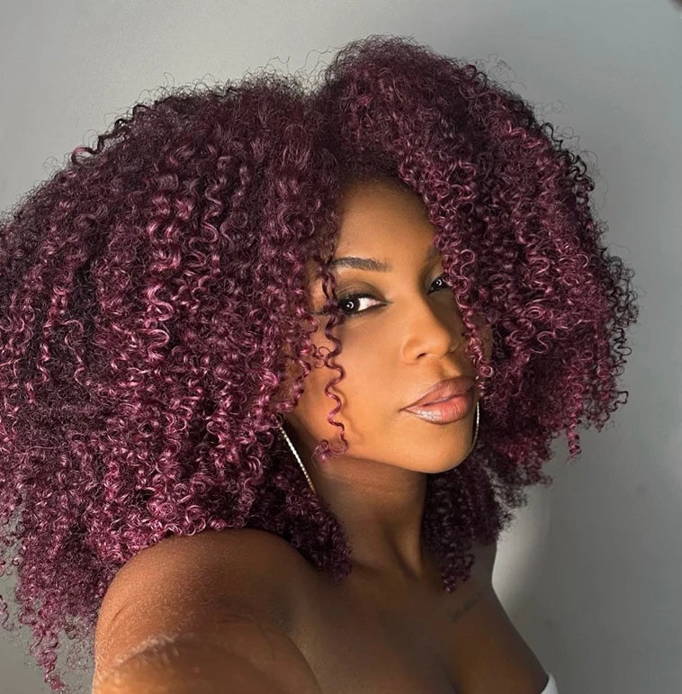Afro Kinky Curly Wig With Bangs