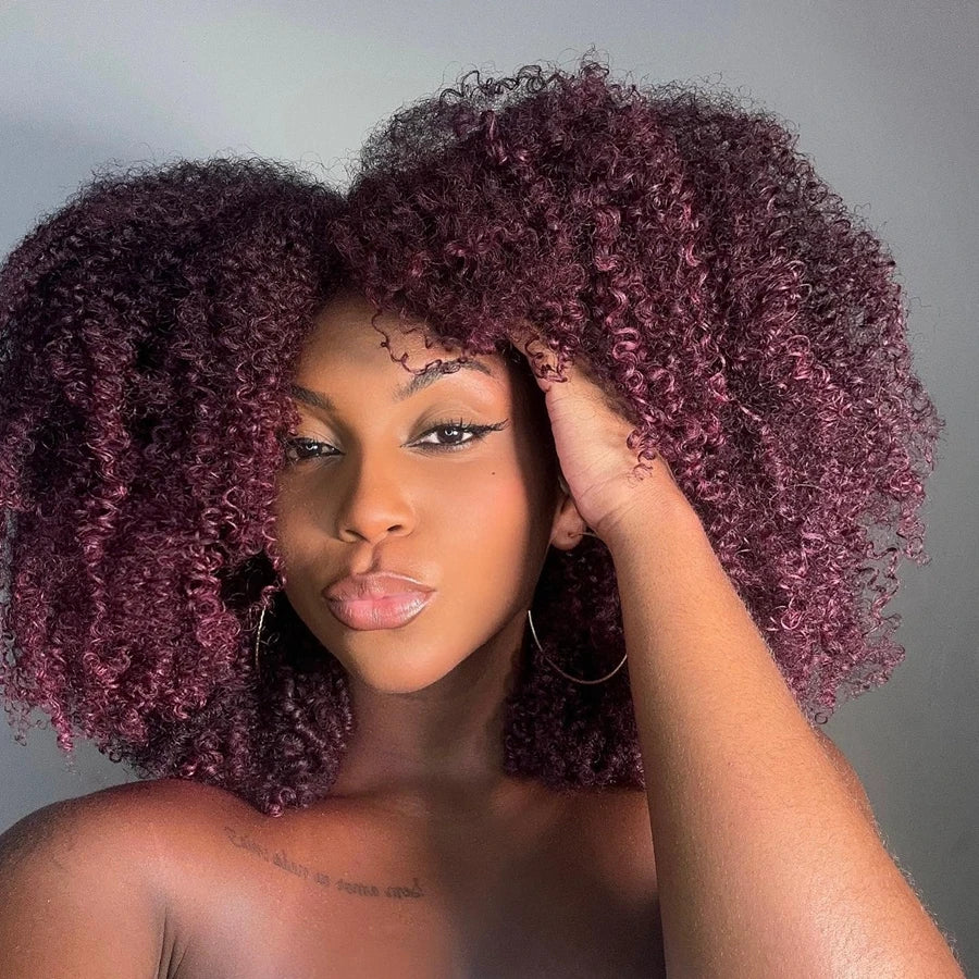 Afro Kinky Curly Wig With Bangs