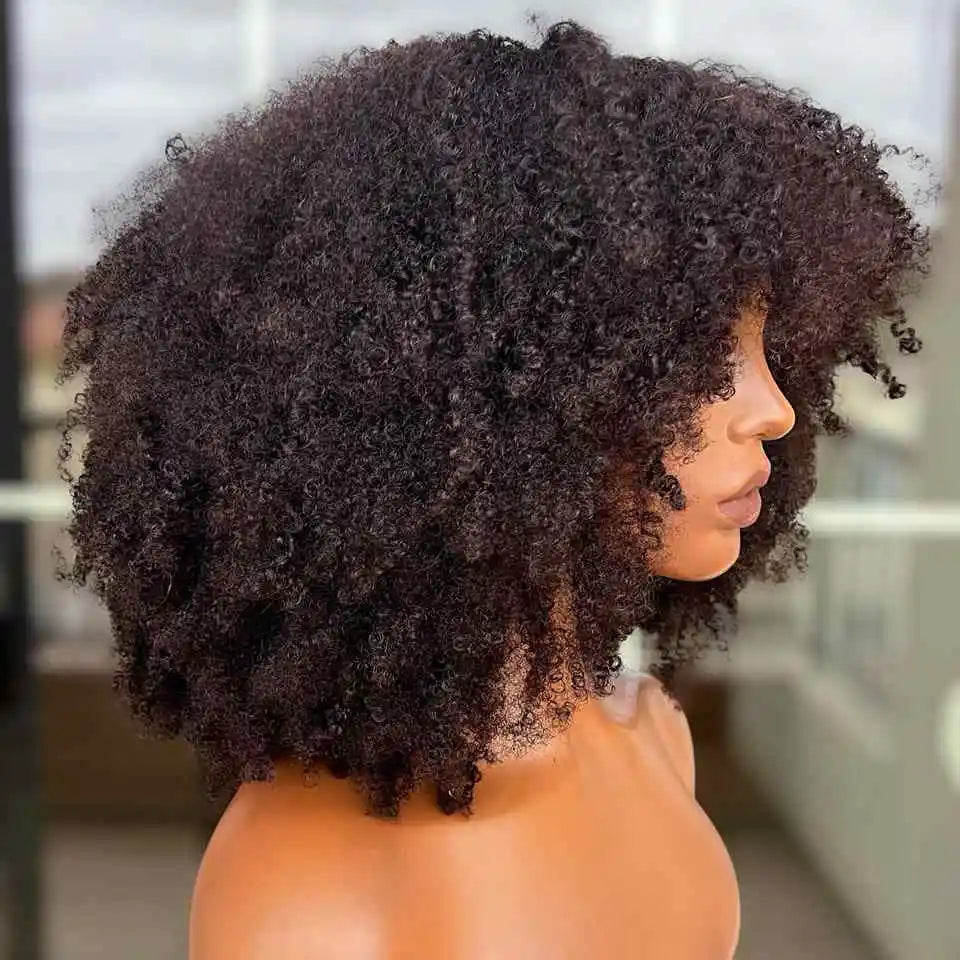 Afro Kinky Curly Wig With Bangs