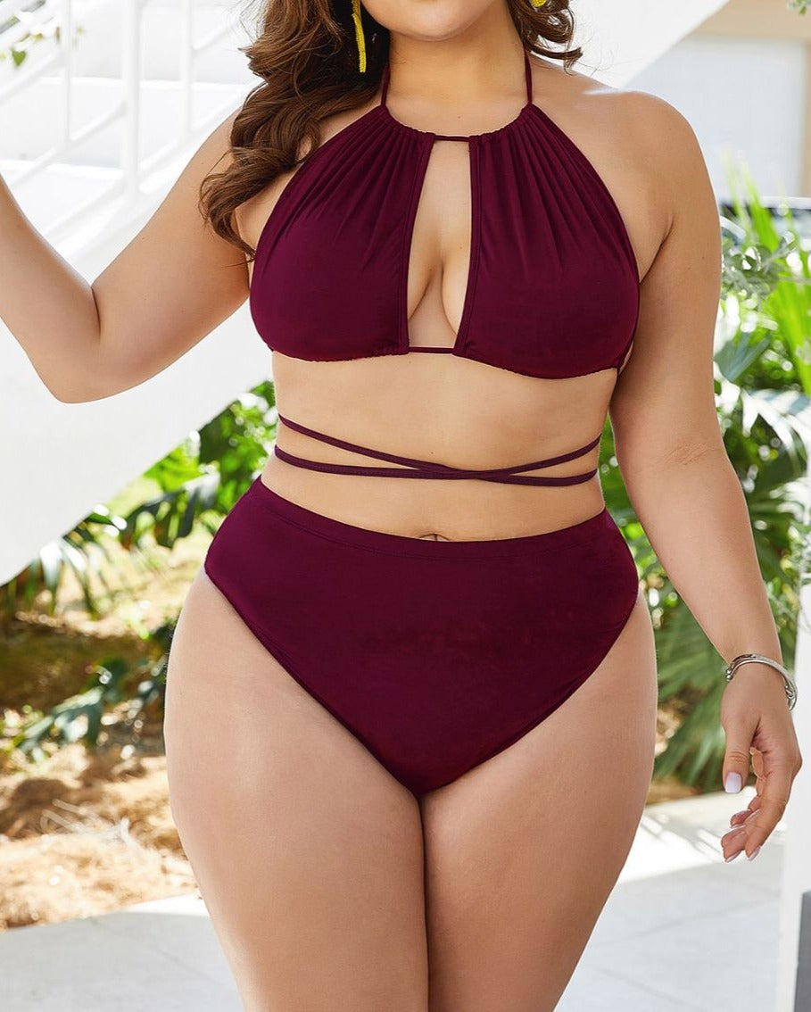 Plus Size Cutout Tied Backless Bikini Set