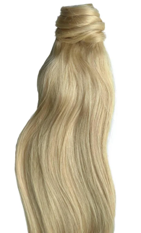 Bleach Blonde Ponytail