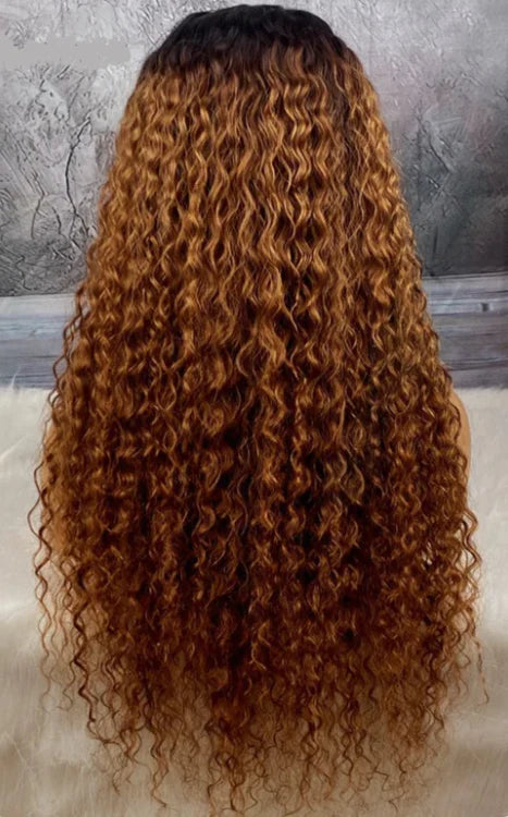 Brown Ombre Curly Lace Front Wig