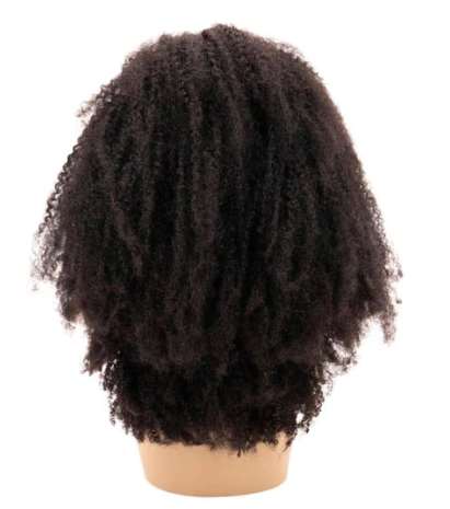 Afro Kinky Closure Wig